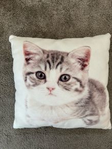 Kitty pillow cushion 30x30cm