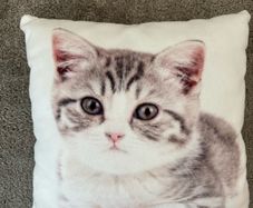 Kitty pillow cushion 30x30cm