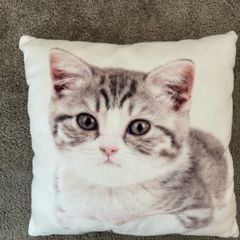 Kitty pillow cushion 30x30