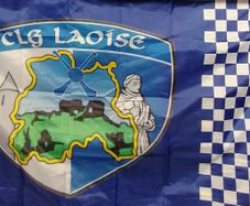 Laois Flag 150cm x 90cm.