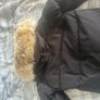 canada goose Image 3