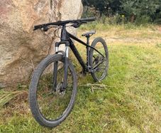 Orbea Onna 50