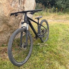 Orbea Onna 50