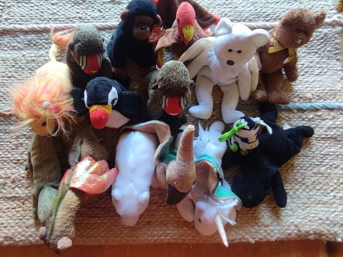 ty beanie baby