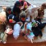 ty beanie baby Image 2