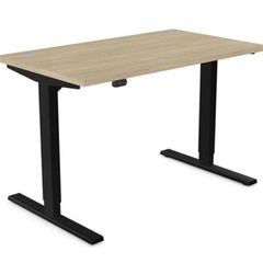 Standing Desk Zoom Electric Dual Motor Height Adj