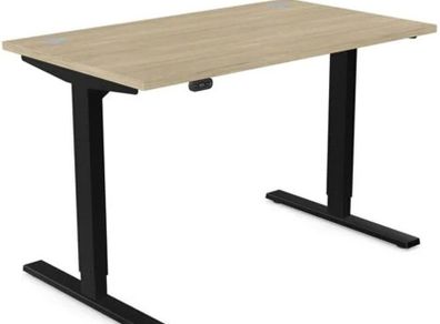 Standing Desk Zoom Electric Dual Motor Height Adj