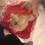 valentines beanie puppy with hearts Image 2