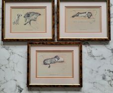 3 x Vintage Cecil Aldin prints, Terrier & Irish Wolfhound
