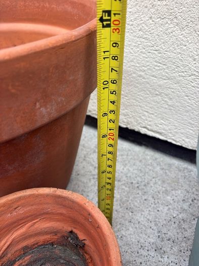 x3 Large Terracotta pots x2 Small ceramics pots