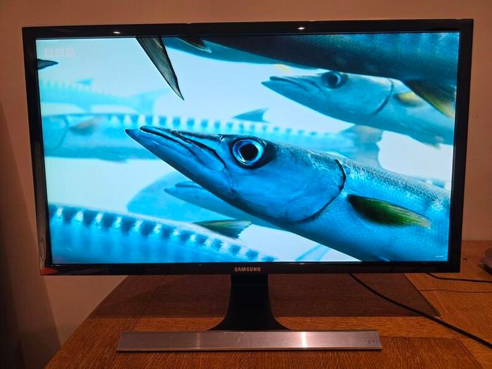 4K UHD 28" Samsung Monitor + 8K60hz USB-C to Display Port Lead