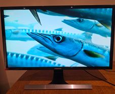 4K UHD 28" Samsung Monitor + 8K60hz USB-C to Display Port Lead
