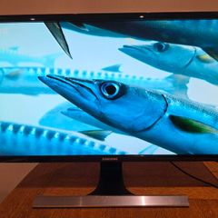 4K UHD 28" Samsung Monitor + 8K60hz USB-C to Display Port Lead