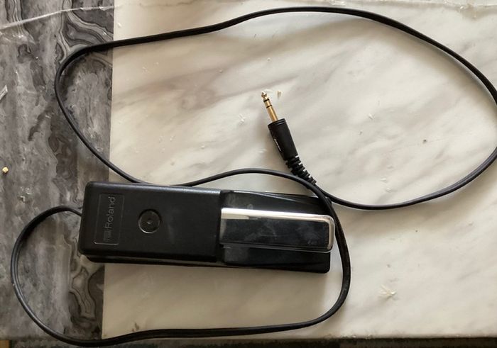 Roland F30e Digital piano and Roland DP - 10 Damper Foot Pedal in Excellent Condition.  (Barely used)