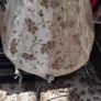 New Lamp Shades Image 2