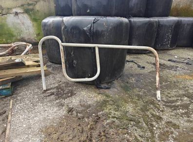 Cattle Cubicles
