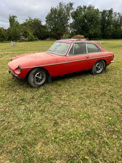 Mg Bgt