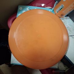 Frisbee
