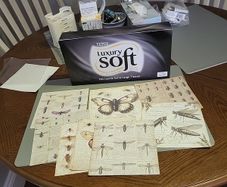 Entemology cards