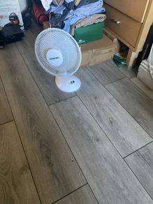 fan