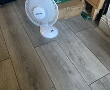 fan