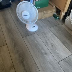 fan
