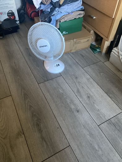 fan