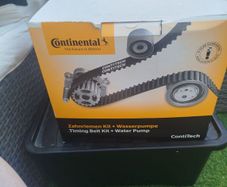 timing belt and water pump