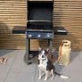 Weber Spirit E-310 Classic Image 4