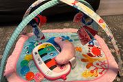 Baby Einstein Play Gym