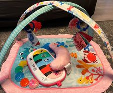 Baby Einstein Play Gym