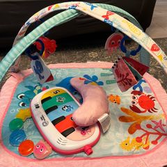 Baby Einstein Play Gym