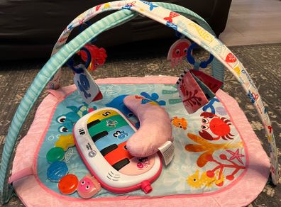 Baby Einstein Play Gym