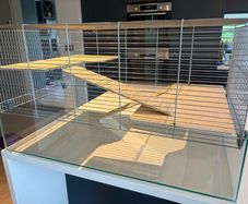 Hamster Enclosure