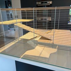 Hamster Enclosure