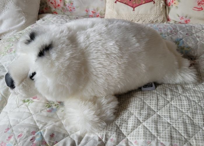 Lovely seal teddy bear