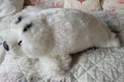Lovely seal teddy bear
