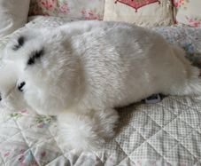 Lovely seal teddy bear