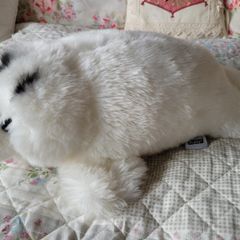 Lovely seal teddy bear