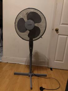 Fan