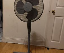 Fan