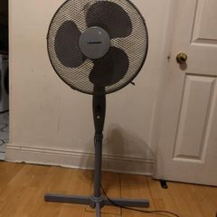 Fan