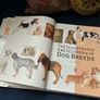 The Illustrated Encyclopaedia of Dog Breeds by Joan Palmer Image 8