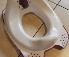 Child potty booster seat