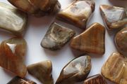 Petrified Wood tumblestones,Crystals,Gemstones