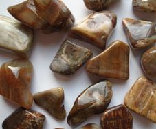 Petrified Wood tumblestones,Crystals,Gemstones