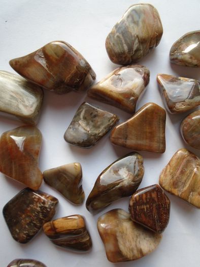 Petrified Wood tumblestones,Crystals,Gemstones