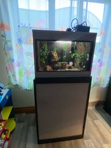 Reptile Vivarium