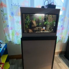 Reptile Vivarium