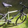 Giant Rincon     Size M. Image 5